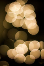 white bokeh Christmas lights 