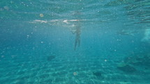Boy swimming toward the camera in the ocean
