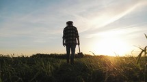 Silhouette of man farmer with shovel walk green field sunset of wheat grass. Agriculture business farming concept.