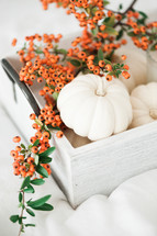 white pumpkins and orange berries 