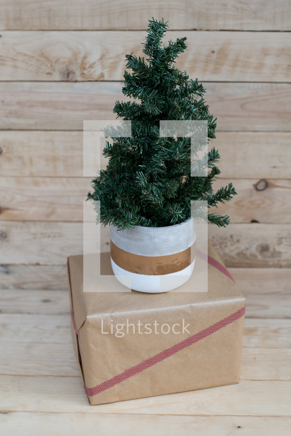 small Christmas tree on a present 
