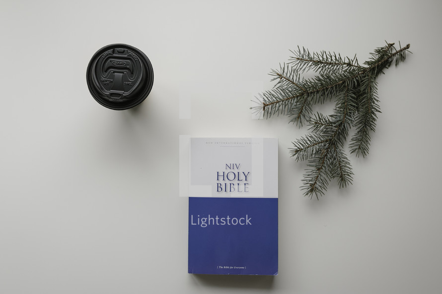 coffee cup, Holy Bible, and pine bough 