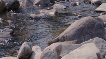 Close up dolly shot of a quickly running mountain stream with smooth river rocks.