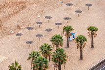 palm trees on a beach in Teneriffa, Spain 