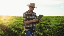 Smart farming technology. Farmer using digital tablet computer in cultivated field. Business owner looks in tablet in field. Concept modern technology application in agricultural growing activity.