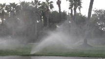 Irrigation sprinklers working on a green lawn with palm trees behind it