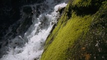 waterfall and mossy rock 