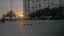 Pigeons flying away in the city at sunset