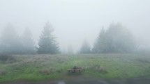 Drone shot flying over man on bench on a foggy day.