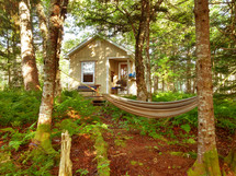 hammock and cabin in a forest 