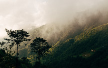 fog over a green mountainside 