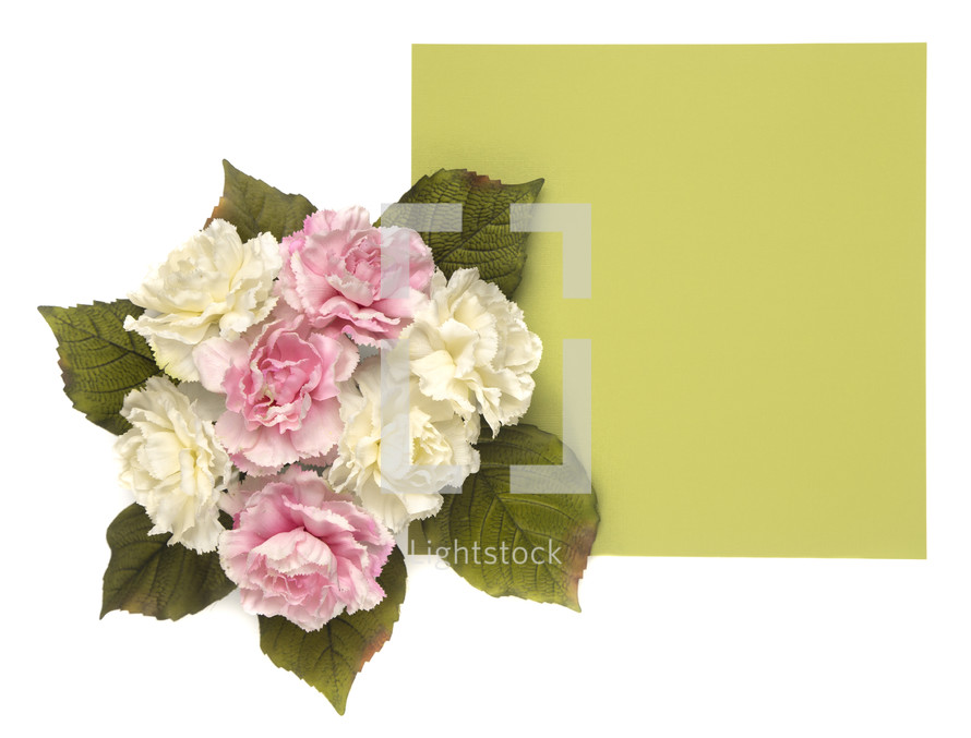 pink and white flowers and green blank paper 