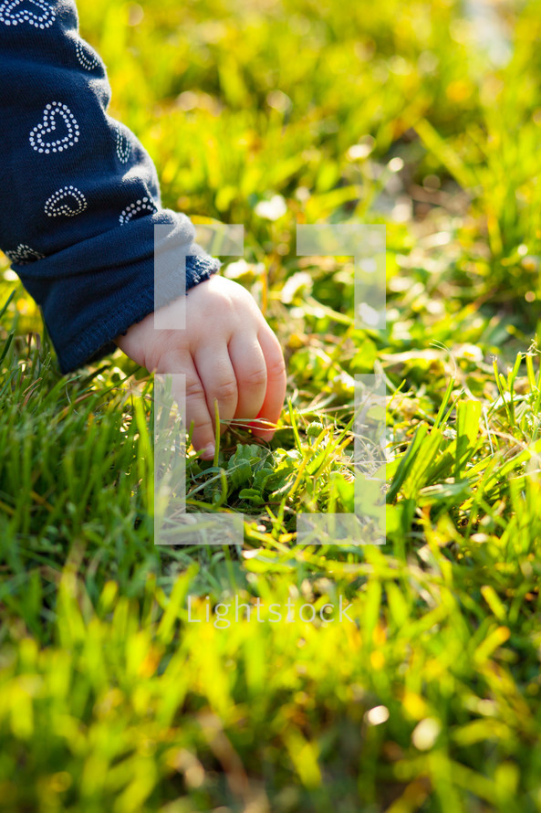 infant hand picking grass