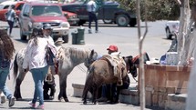 men with ponies on a street in Mexico 