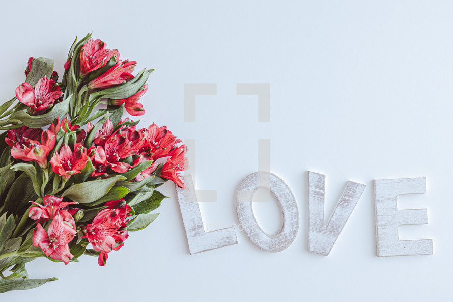 Word love with bouquet of red flowers on a white background with copy space