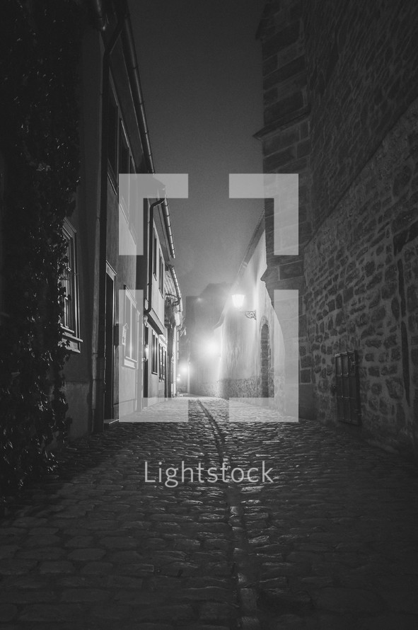 lights along a cobblestone road at night 