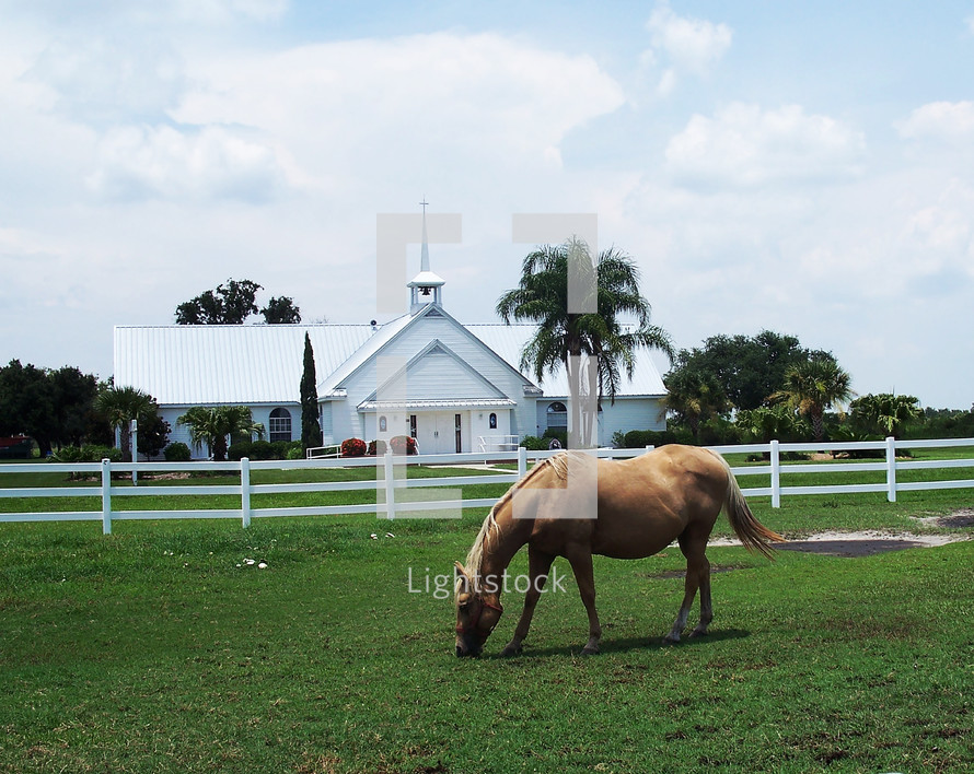 horse in front of a church 