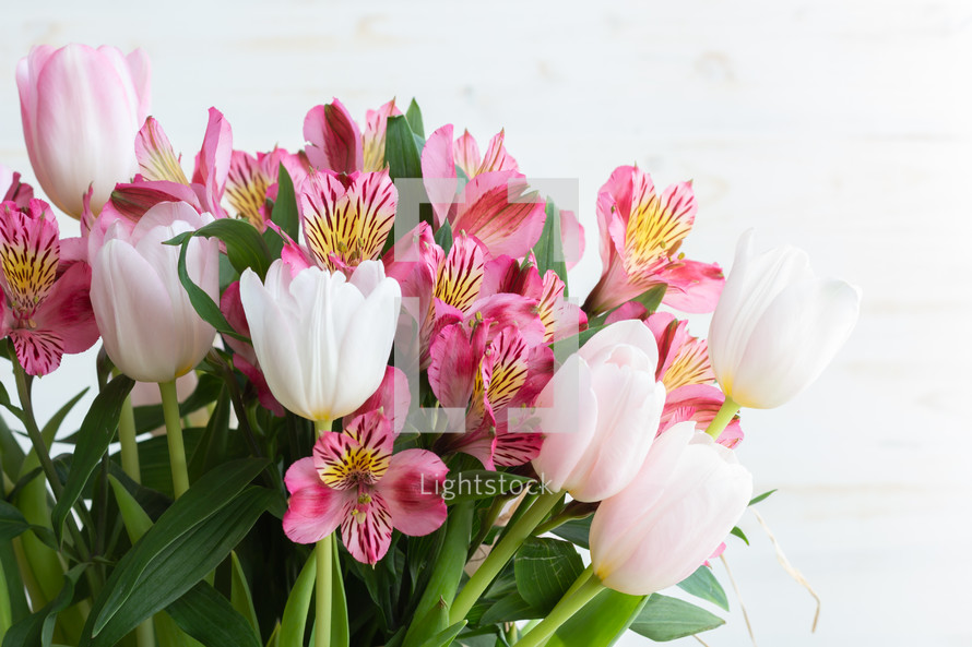 Alstroemeria and tulips close up