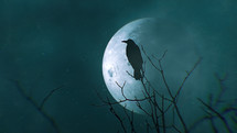 Crow silhouette with big moon
