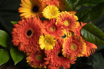 orange and yellow gerber daisies bouquet 