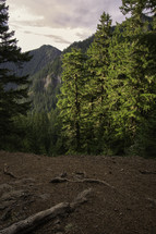 sunrise and mountain evergreen forest 