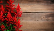 Beautiful red flowers on wooden background. Top view with copy space