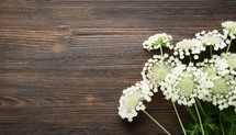 Bouquet of white flowers on brown wooden background, top view