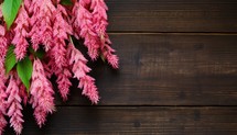 pink flowers on wooden background, top view with copy space.
