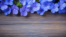 Blue pansy flowers on wooden background. Top view with copy space
