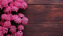 Pink yarrow flowers on wooden background. Top view with copy space