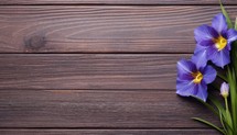 Purple crocus flowers on wooden background. Top view with copy space