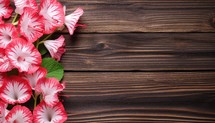 Pink and white geranium flowers on brown wooden background. Top view
