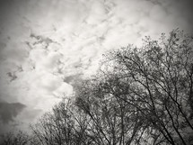 branches against a cloudy sky in black and white with vignette