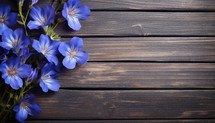 Blue flowers on wooden background. Top view with copy space for your text.