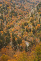 fall colors in a valley 