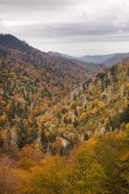 fall mountain valley scene 