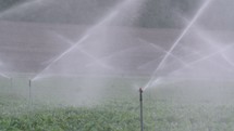 Slow motion of many impact sprinklers irrigating a field during sunset