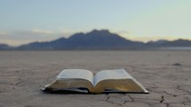 turning pages of a Bible on drought stricken land 