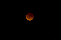 Blood moon - lunar eclipse 