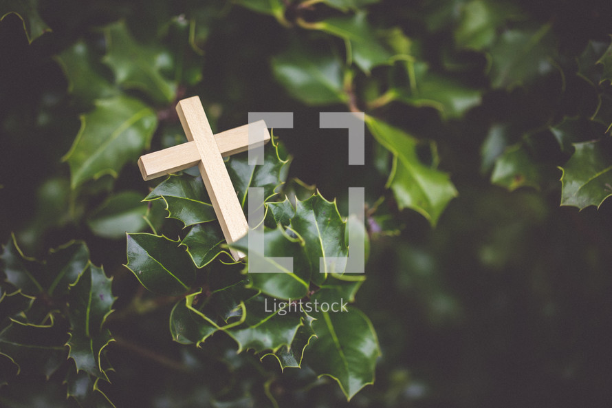 cross in a holy bush 