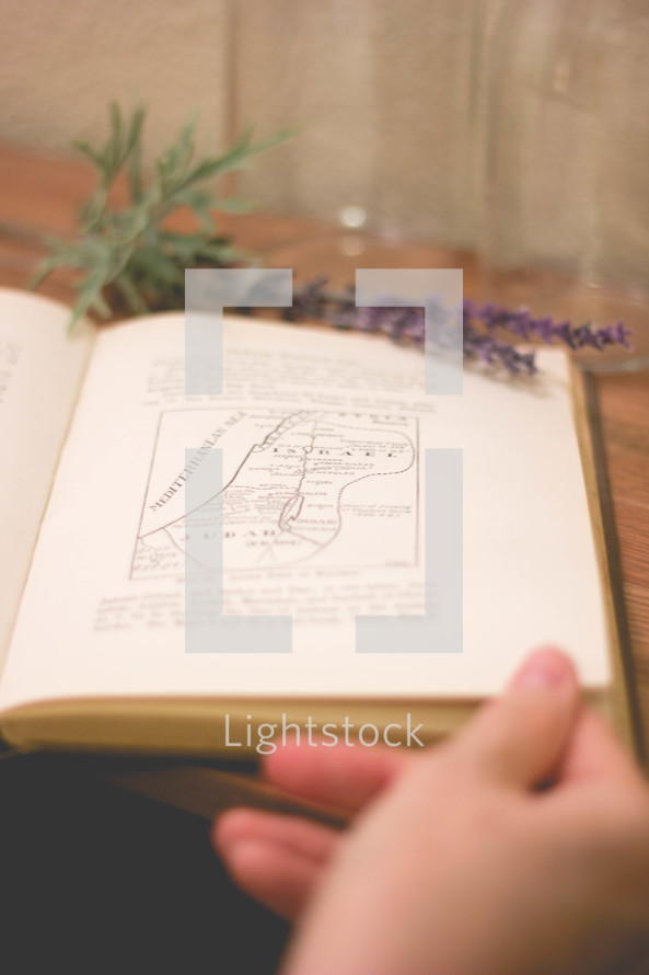 sprig of lavender on the pages of a book 