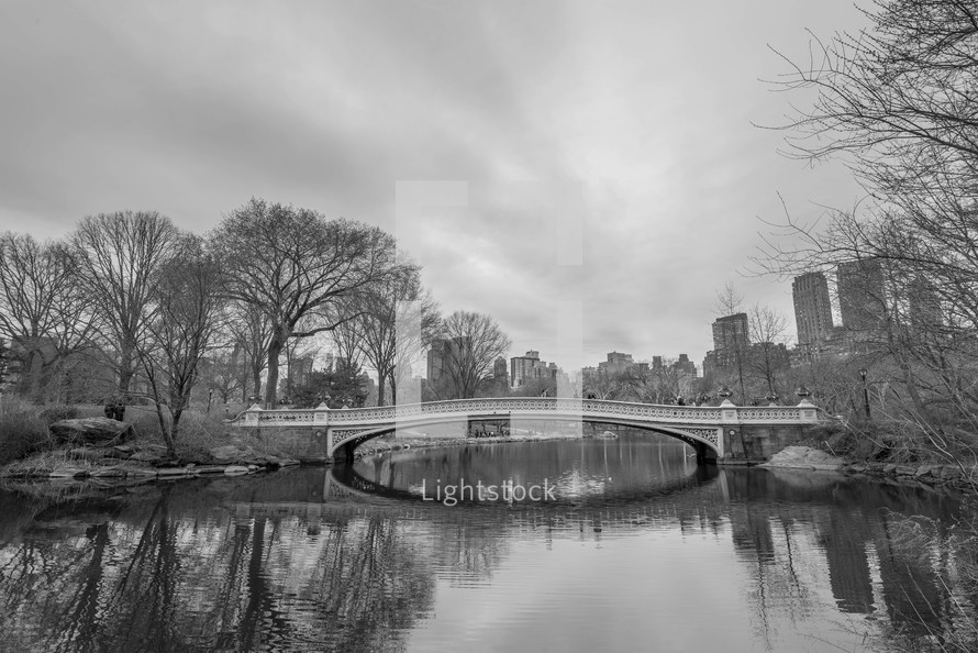 bridge in Central Park 
