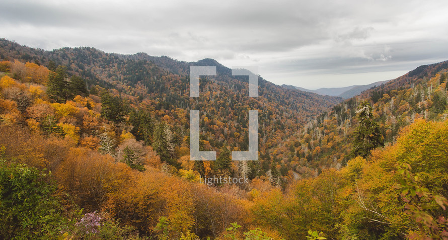 fall mountain scene 