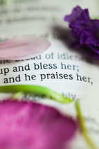 A closeup of a Bible verse and flower petals.