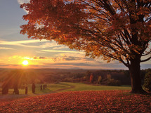 fall scene at sunrise 