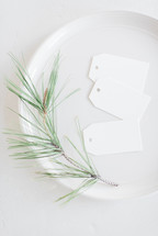 pine sprig on a white plate 