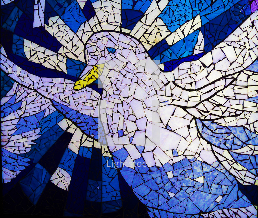 A beautiful portrait of a white Dove on a white and blue stained glass window . The dove is often used to display the personality and presence of the Holy Spirit as mentioned in Luke 3:22 when Jesus was baptized. "And the Holy Spirit descended on him in bodily form like a dove. And a voice came from heaven: "You are my Son, whom I love; with you I am well pleased."