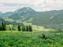 mountain biking in summer 