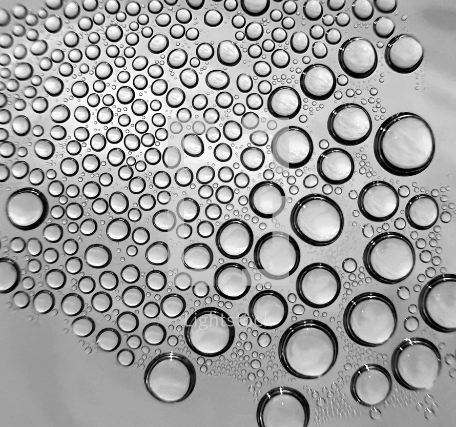 closeup of water drops in black and white