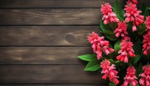 Pink flowers on wooden background with copy space for text. Top view